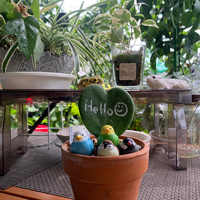 Aqettyさんの部屋