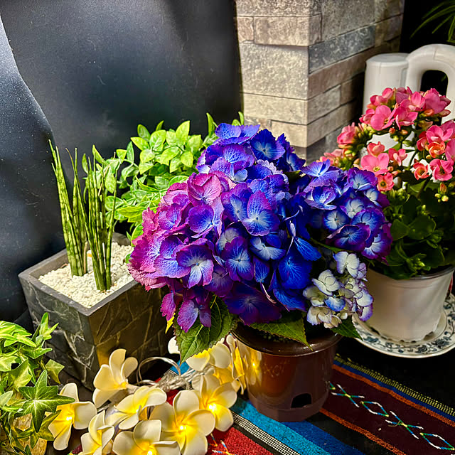 tututu0204さんの部屋