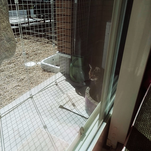 lilyさんの実例写真
