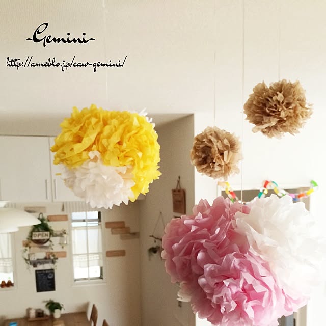 Geminiさんの実例写真