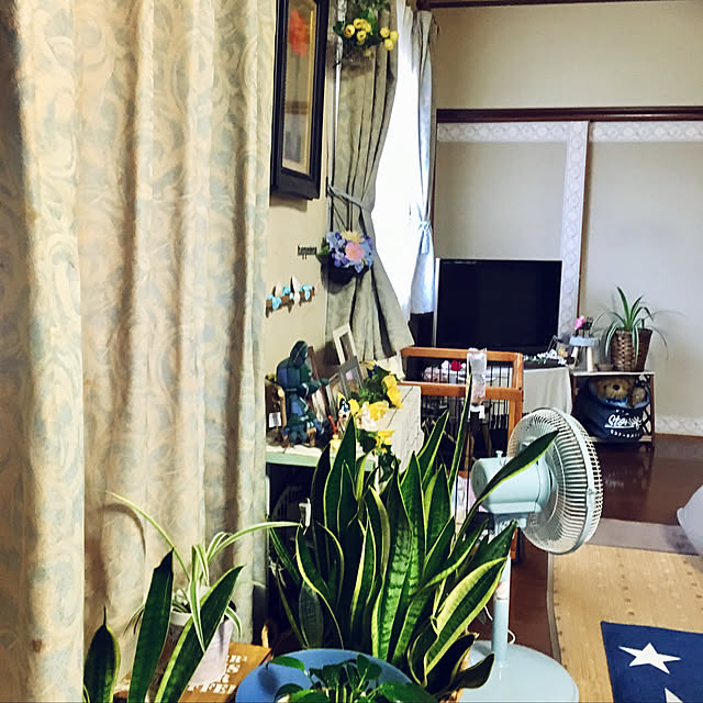 MIYUさんの実例写真