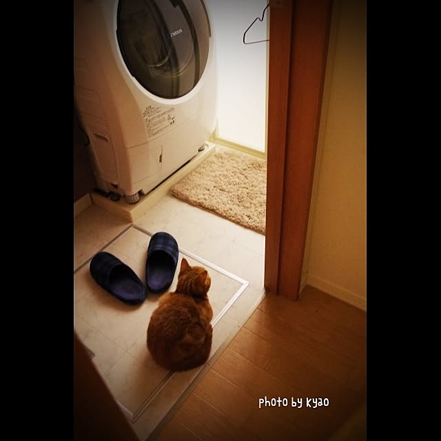 実例写真