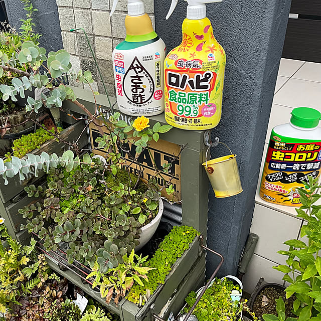 Vakiさんの実例写真