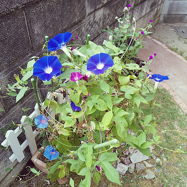 25Moondropsさんの実例写真