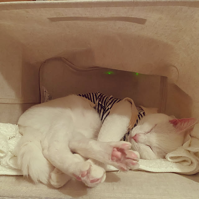 hanaさんの実例写真