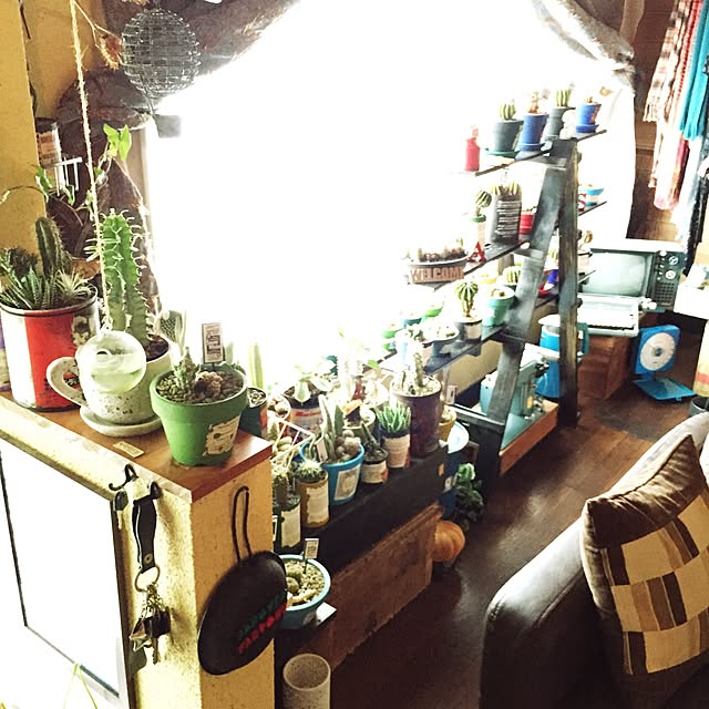 Masahideさんの実例写真