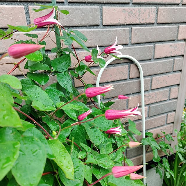 kiraさんの部屋