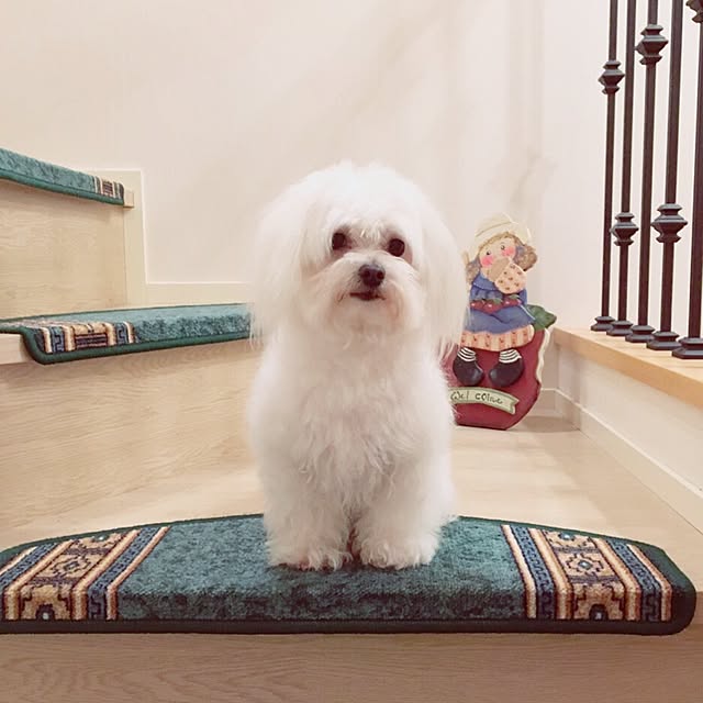 nicoさんの実例写真