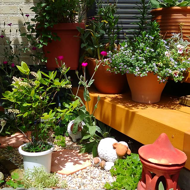 satochiさんの実例写真