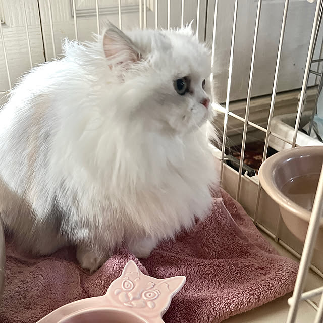AYUKOさんの部屋