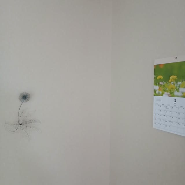 chidorinさんの部屋