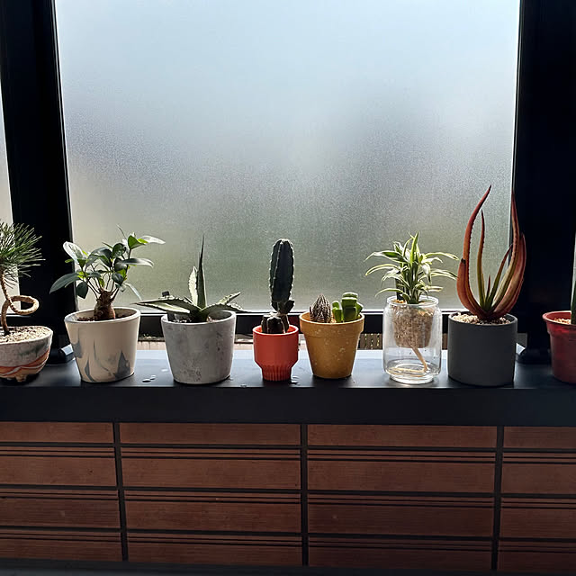 satatinさんの部屋