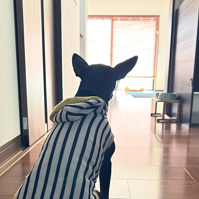 shizuponさんの実例写真