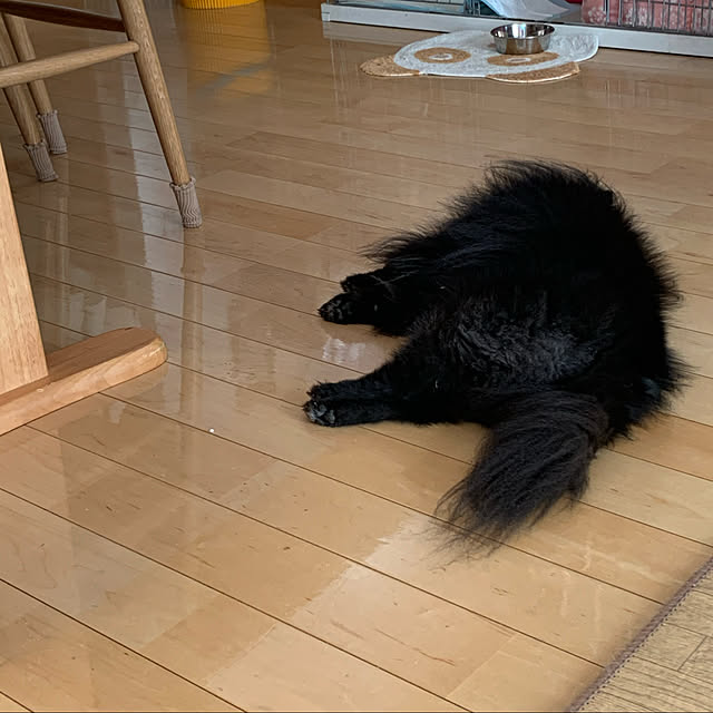 kumadapannさんの実例写真