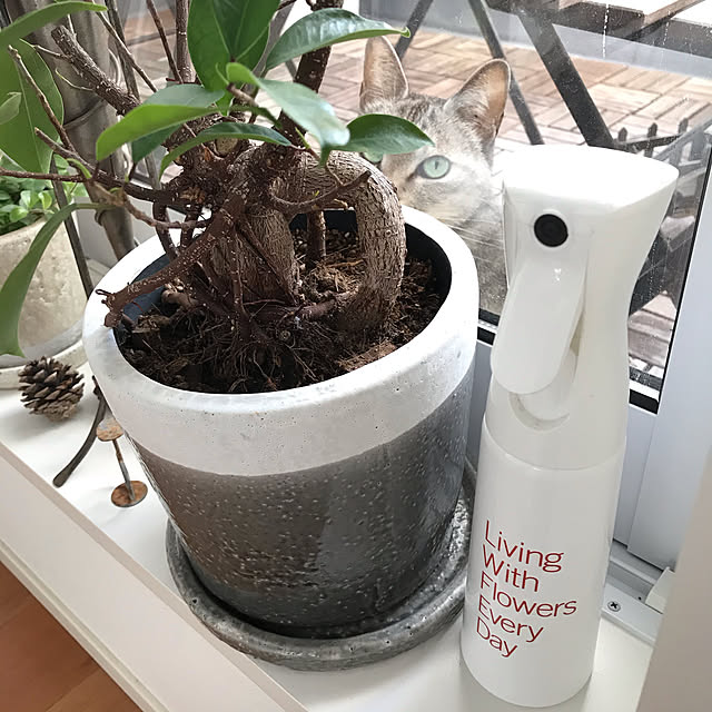 maroさんの実例写真