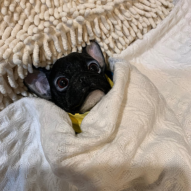 Aqettyさんの実例写真