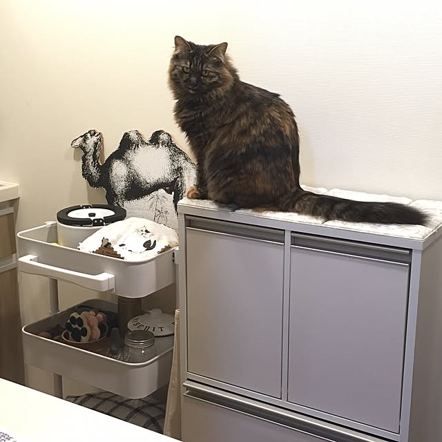 mikomaruさんの実例写真