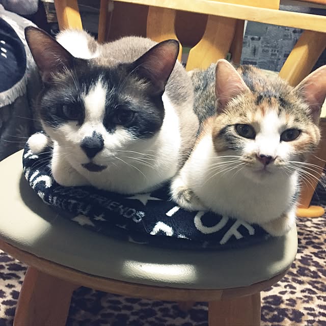vivienne.coco-keiさんの実例写真