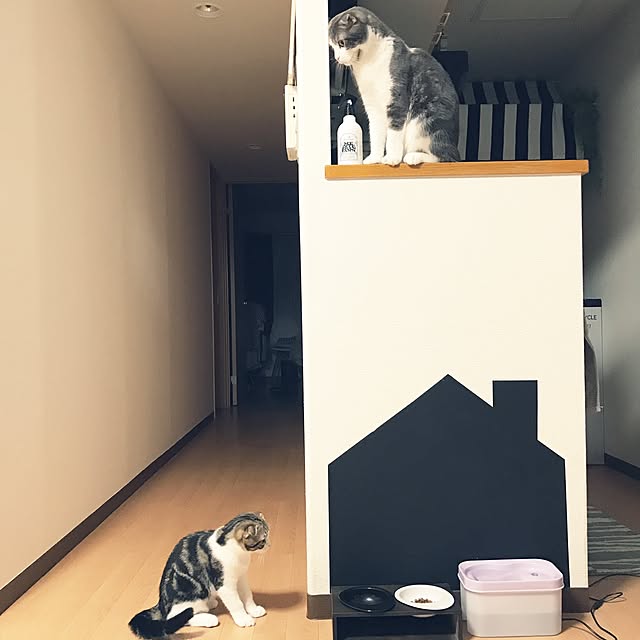 tansukeさんの実例写真