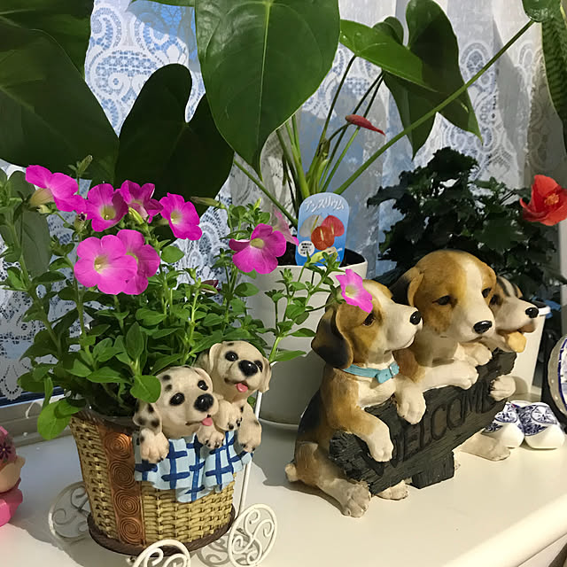 emikoさんの実例写真