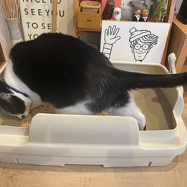 Youkoさんの実例写真