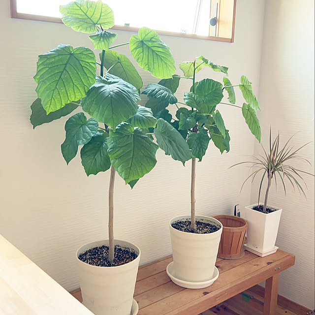i-chanさんの部屋