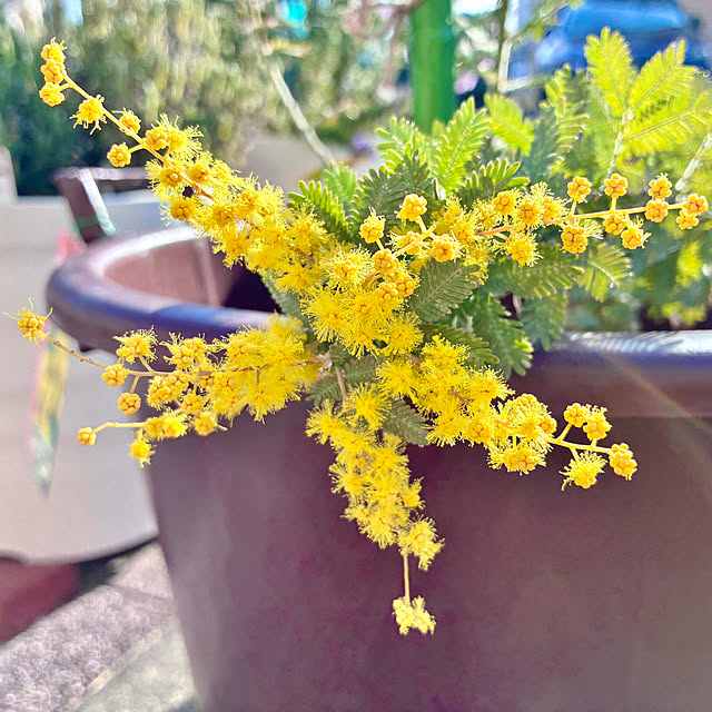 Junさんの実例写真