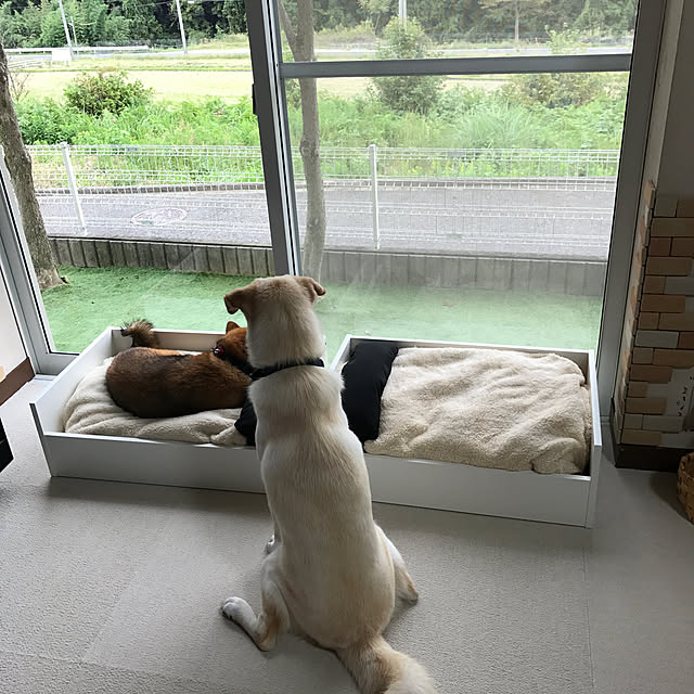 mtkさんの実例写真