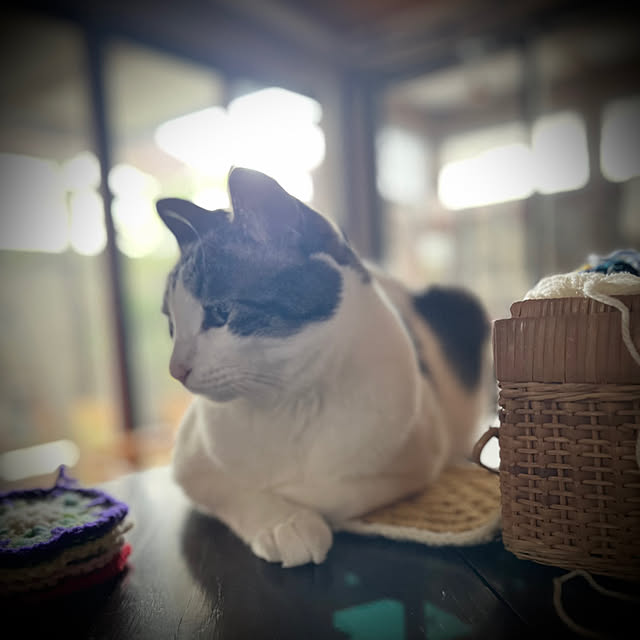 marusanさんの部屋