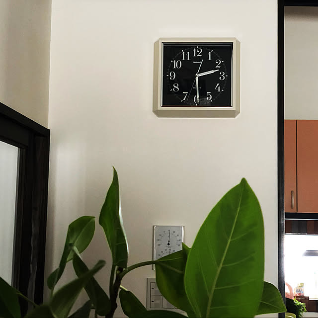 slowlife1130さんの実例写真