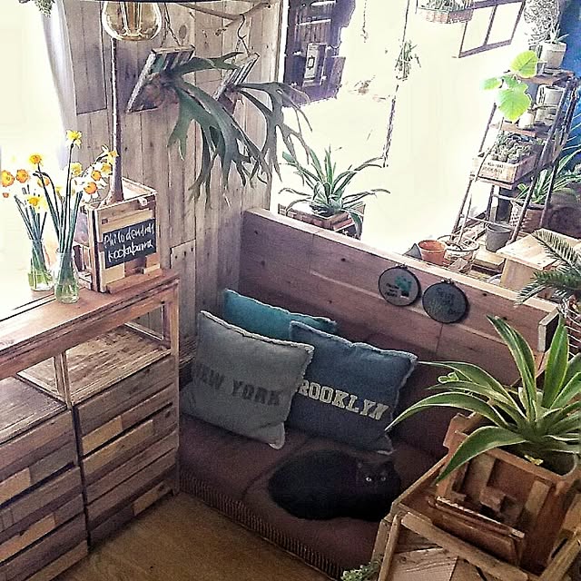ugさんの実例写真
