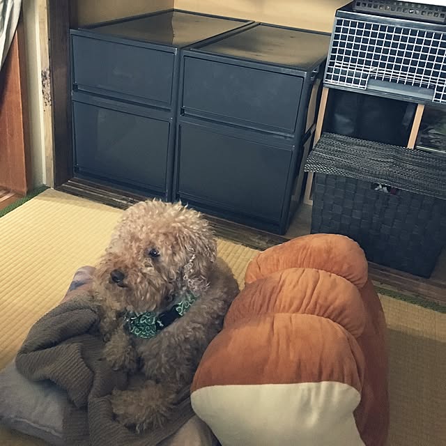 ronmaruさんの実例写真