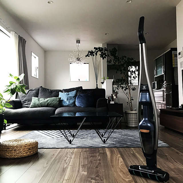 ameのElectrolux(エレクトロラックス)-エレクトロラックス 掃除機 コードレス スティック PureQ9 自立式 最大53分稼働 高耐久アルミニウム使用 ハンディ 絡まないブラシ 北欧デザイン インディゴブルー PQ92-3OBFの家具・インテリア写真
