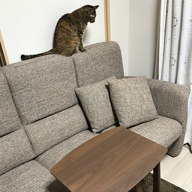 moka06さんの実例写真