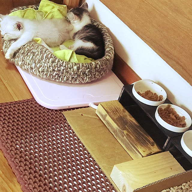 maroさんの部屋