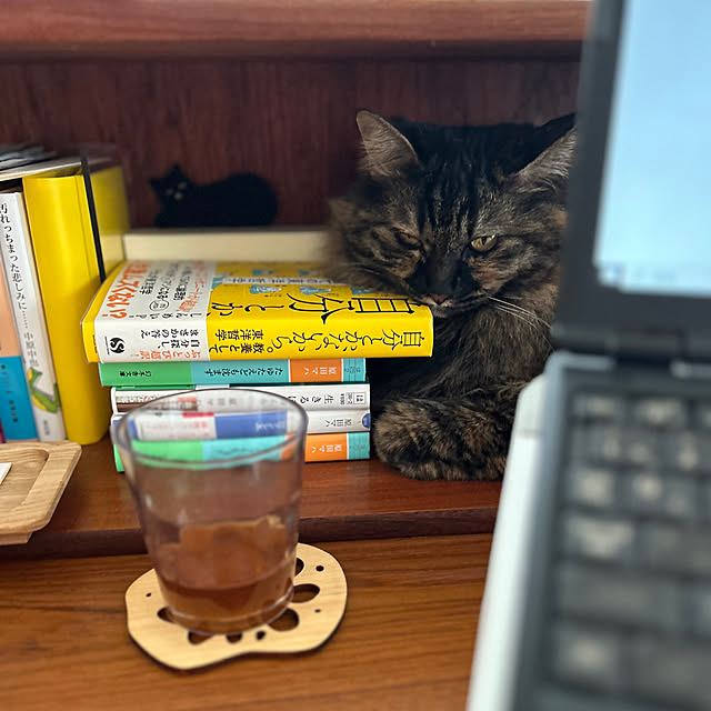 mikomaruさんの実例写真