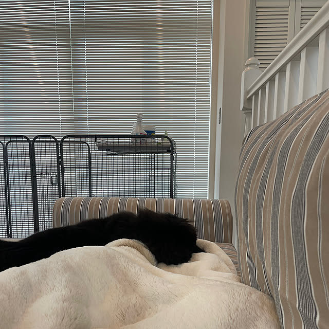 makiさんの実例写真