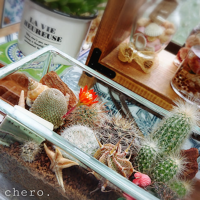 chero.さんの実例写真