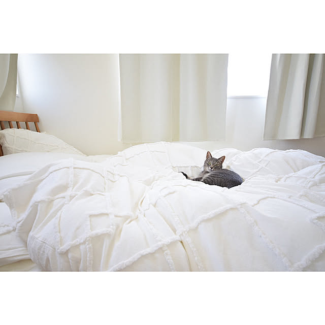 cocokuro0124さんの実例写真