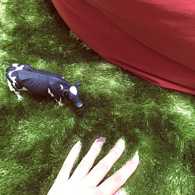 madamさんの実例写真