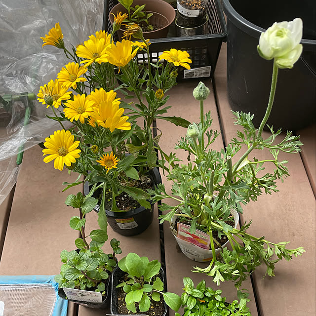 yuyuさんの実例写真