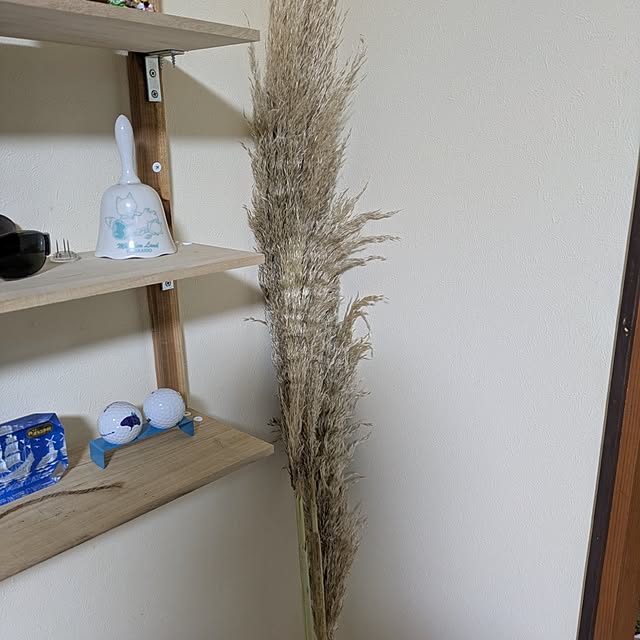 asaさんの部屋