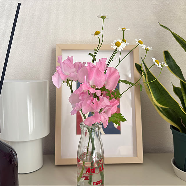 fav_thingさんの実例写真