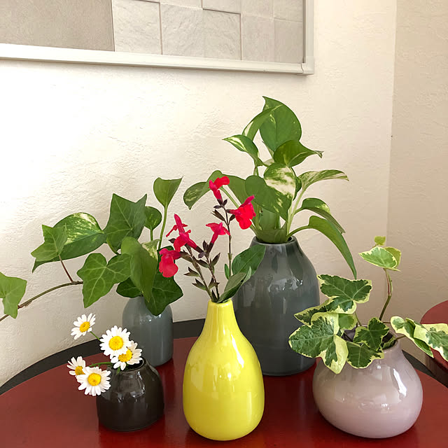 danranさんの実例写真