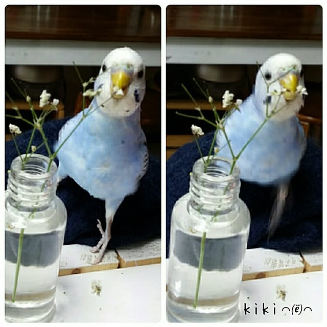 karinさんの実例写真