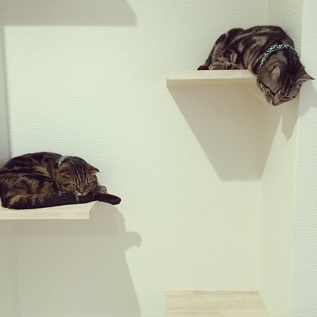 mami7さんの実例写真