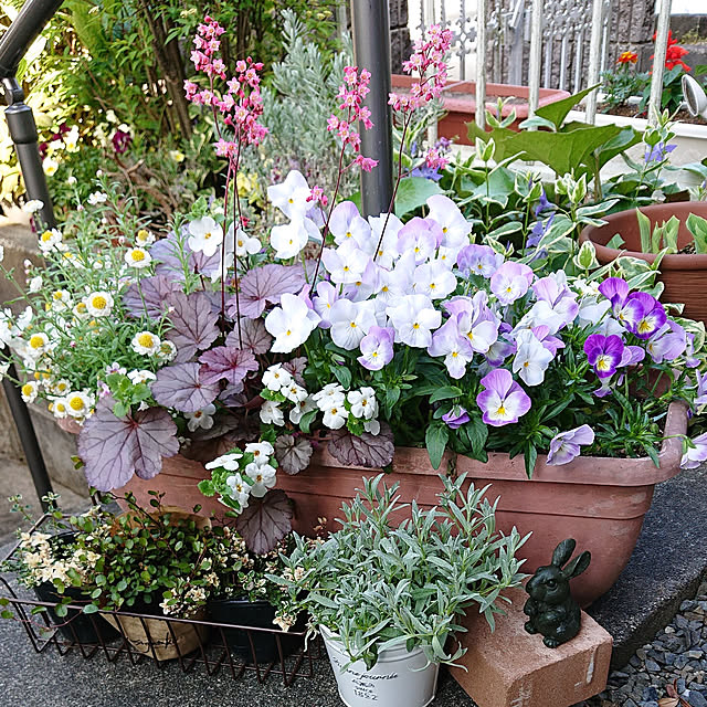 taeko0779さんの実例写真