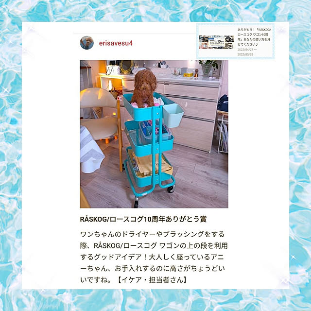 erisavesu4さんの実例写真