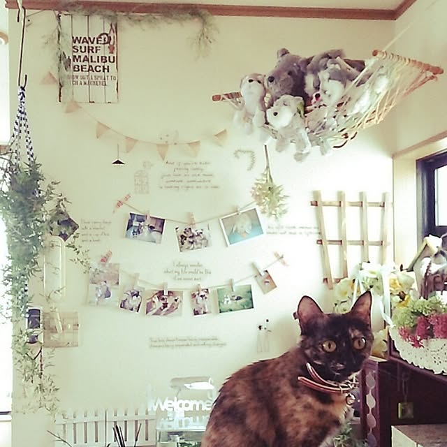 mcomcoさんの実例写真