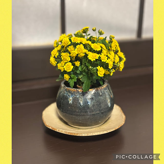 Smilkazuさんの部屋